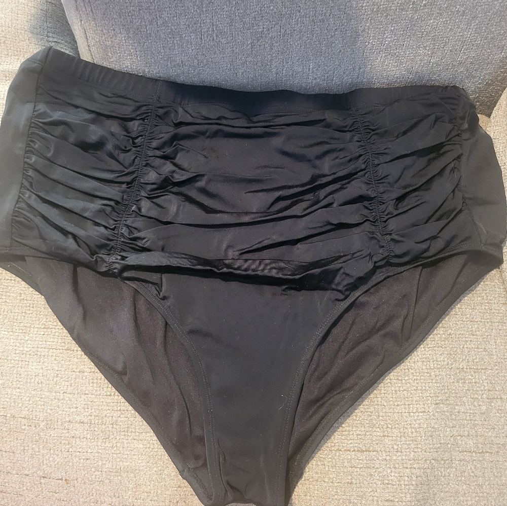 Shirred High Waist Swim Brief NWOT